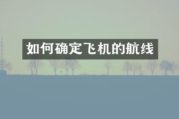 如何确定飞机的航线