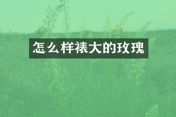 怎么样裱大的玫瑰