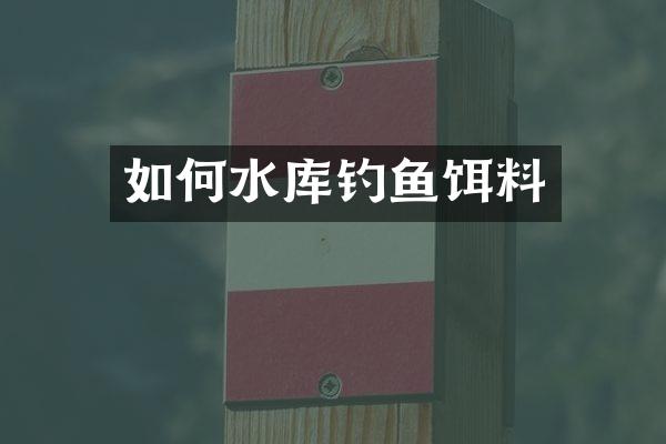 如何水库钓鱼饵料