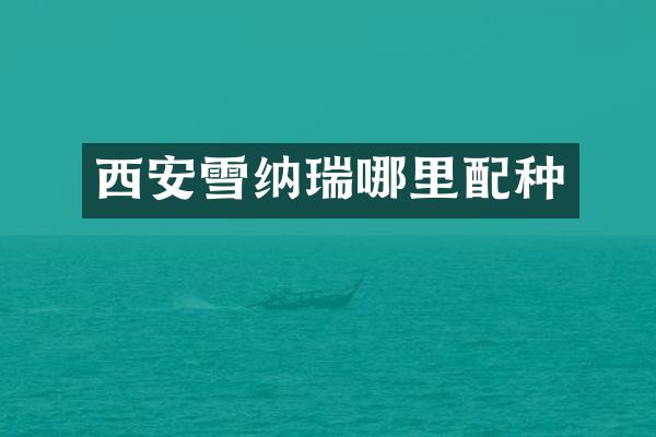 西安雪纳瑞哪里配种
