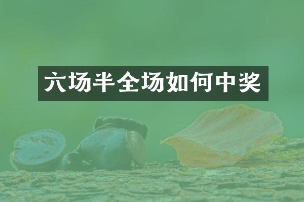 六场半全场如何中奖