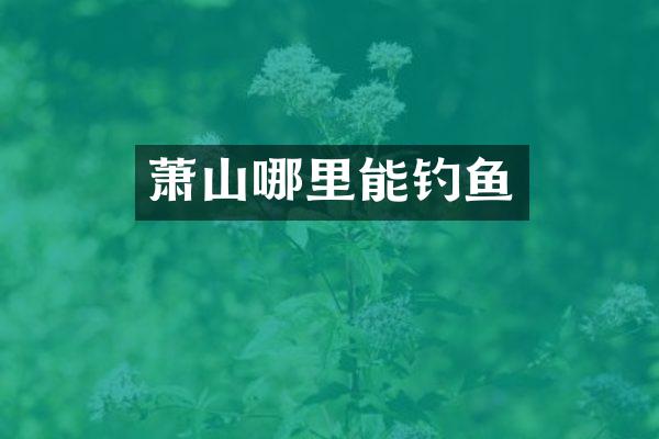 萧山哪里能钓鱼