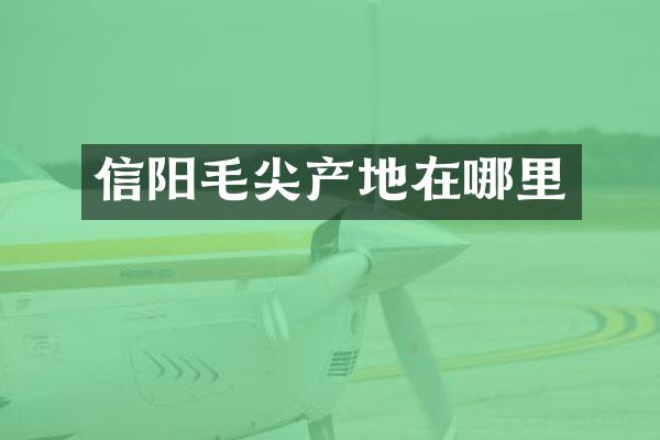 信阳毛尖产地在哪里