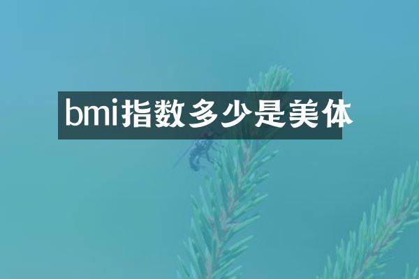 bmi指数多少是美体