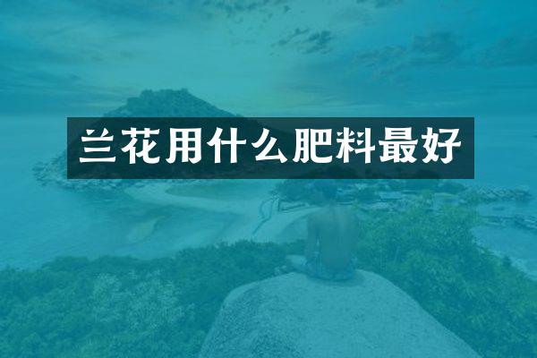 兰花用什么肥料最好