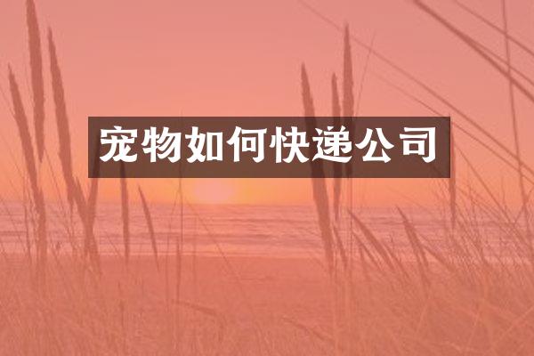 宠物如何快递公司