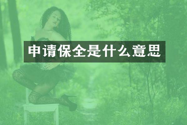 申请保全是什么意思
