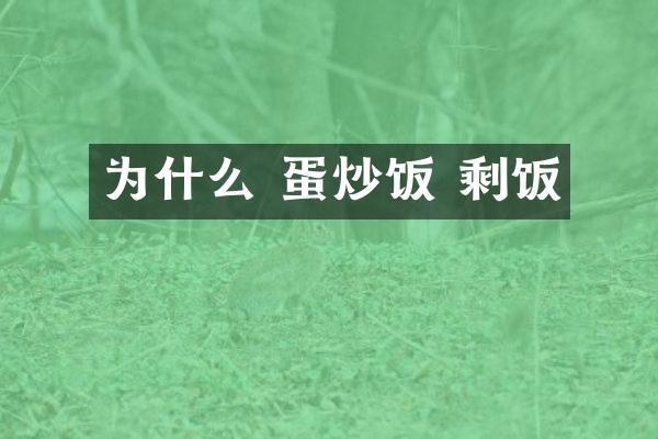 为什么 蛋炒饭 剩饭