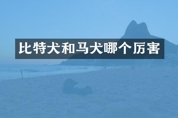 比特犬和马犬哪个厉害