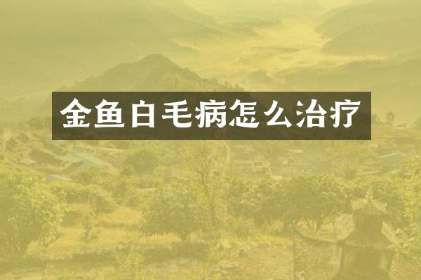 金鱼白毛病怎么治疗