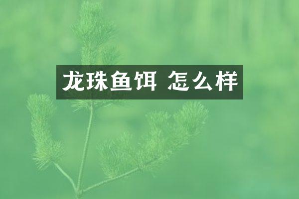 龙珠鱼饵 怎么样
