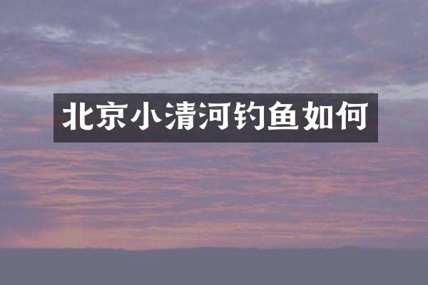 北京小清河钓鱼如何