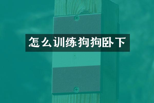 怎么训练狗狗卧下