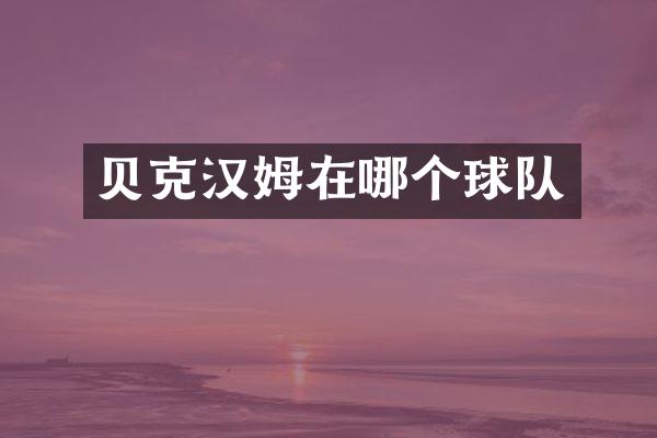 贝克汉姆在哪个球队