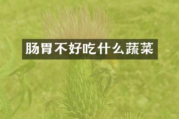 肠胃不好吃什么蔬菜