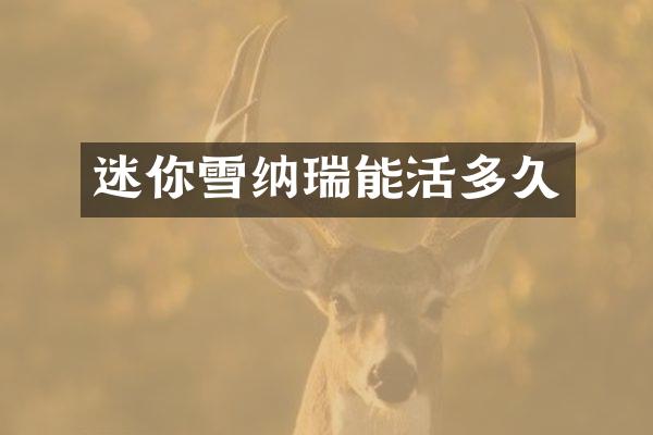 迷你雪纳瑞能活多久