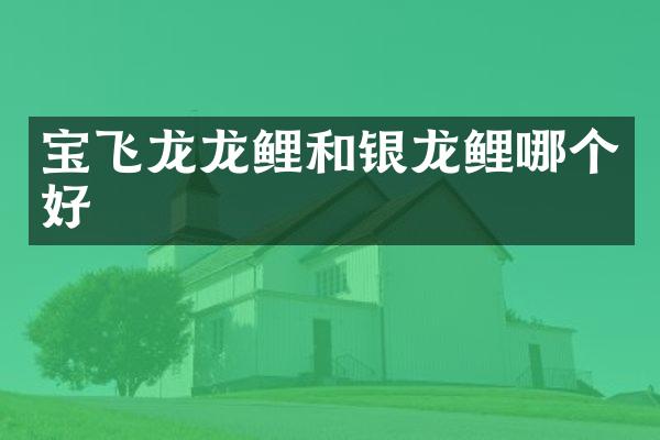 宝飞龙龙鲤和银龙鲤哪个好