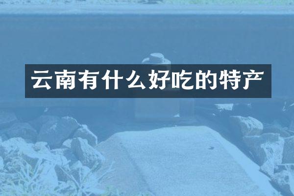 云南有什么好吃的特产