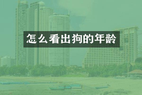 怎么看出狗的年龄