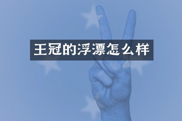 王冠的浮漂怎么样