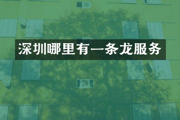 深圳哪里有一条龙服务