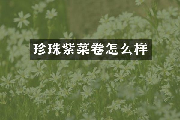 珍珠紫菜卷怎么样