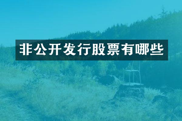非公开发行股票有哪些