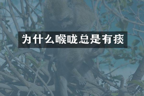 为什么喉咙总是有痰