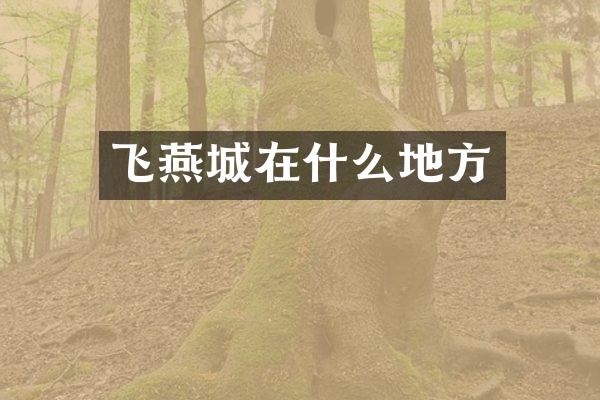 飞燕城在什么地方