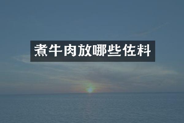 煮牛肉放哪些佐料