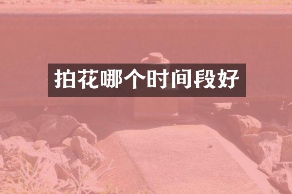 拍花哪个时间段好