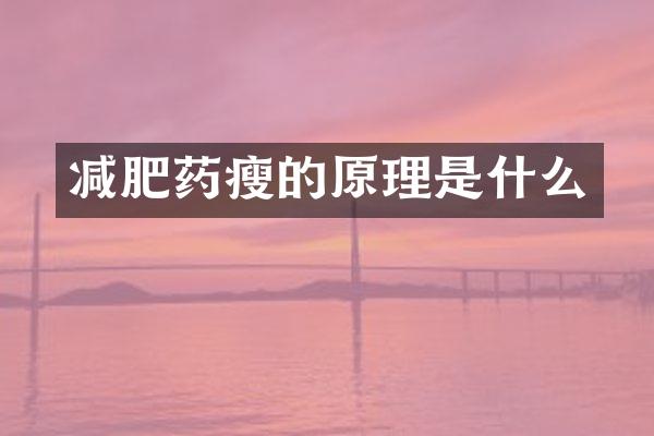 减肥药瘦的原理是什么