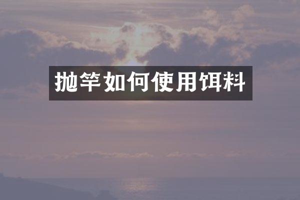 抛竿如何使用饵料