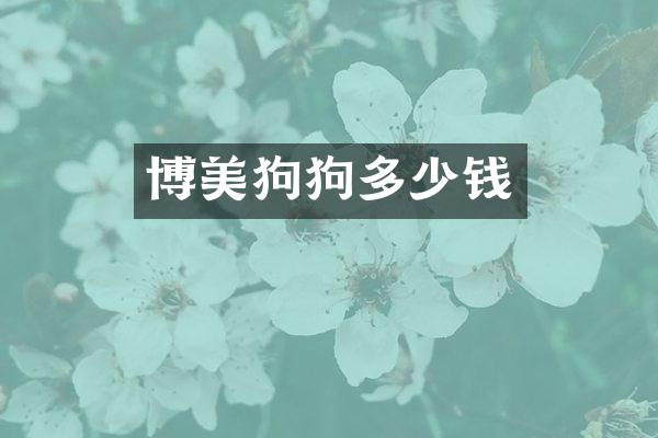博美狗狗多少钱