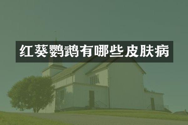 红葵鹦鹉有哪些皮肤病