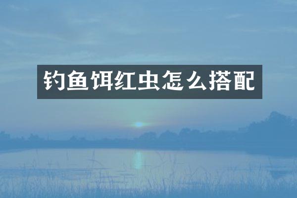 钓鱼饵红虫怎么搭配