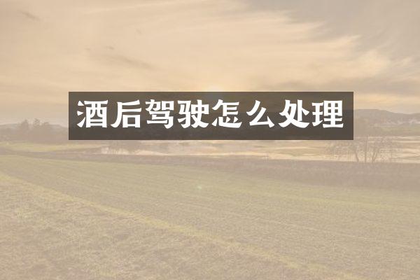 酒后驾驶怎么处理