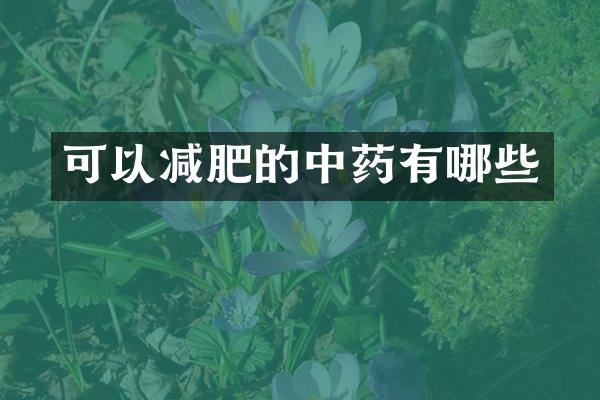 可以减肥的中药有哪些