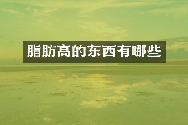 脂肪高的东西有哪些