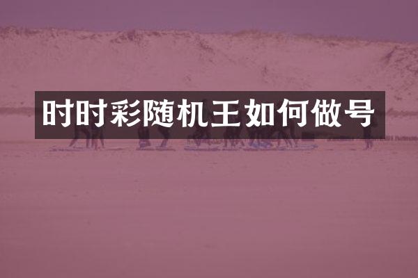 时时彩随机王如何做号