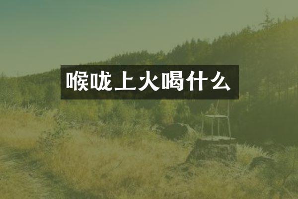 喉咙上火喝什么