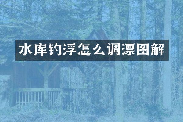 水库钓浮怎么调漂图解