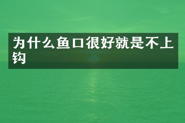 为什么鱼口很好就是不上钩