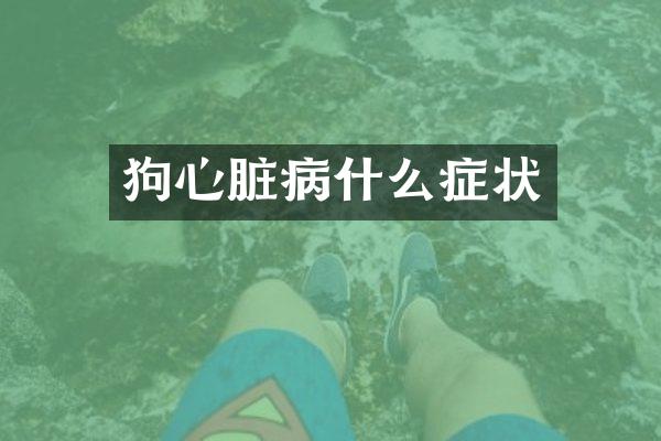 狗心脏病什么症状