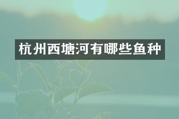 杭州西塘河有哪些鱼种
