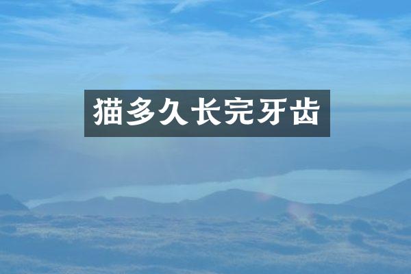 猫多久长完牙齿