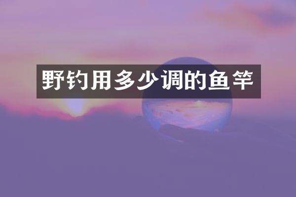 野钓用多少调的鱼竿