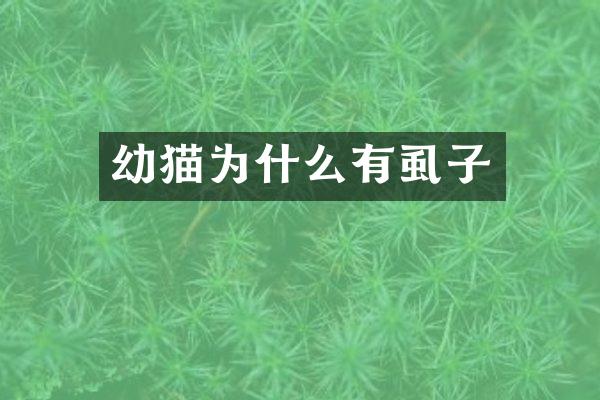幼猫为什么有虱子