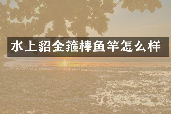 水上貂金箍棒鱼竿怎么样
