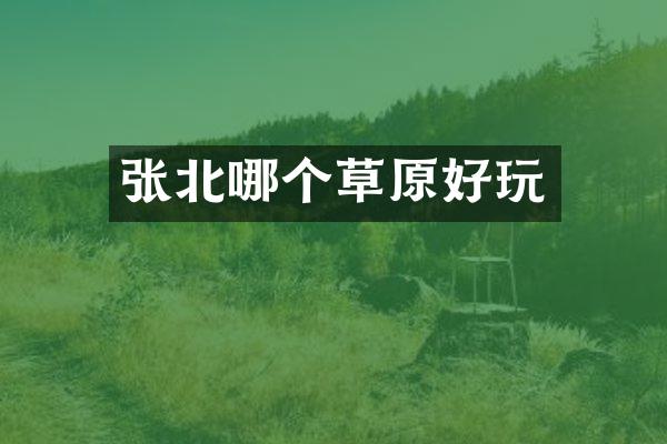 张北哪个草原好玩